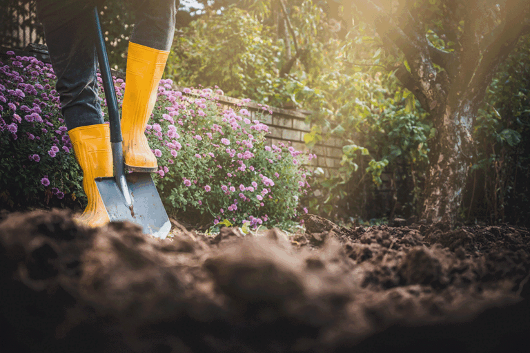 Digging in the garden