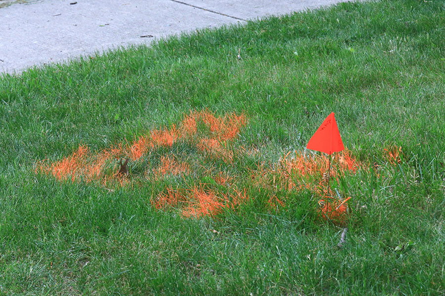 utility marking on the grass